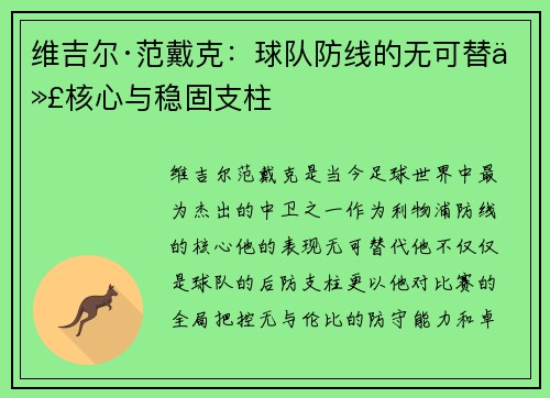 维吉尔·范戴克：球队防线的无可替代核心与稳固支柱